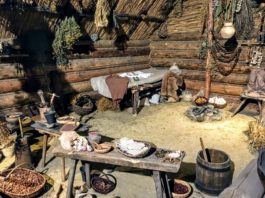 Jadłospis mieszkańców płd. Polski kilka tys. lat temu był głównie roślinny wyposażenie neolitycznej chaty