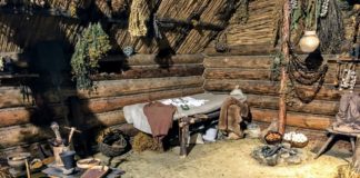 Jadłospis mieszkańców płd. Polski kilka tys. lat temu był głównie roślinny wyposażenie neolitycznej chaty