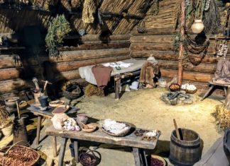 Jadłospis mieszkańców płd. Polski kilka tys. lat temu był głównie roślinny wyposażenie neolitycznej chaty