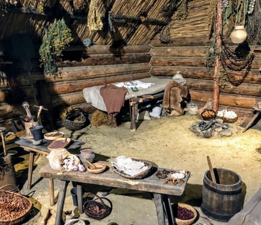 Jadłospis mieszkańców płd. Polski kilka tys. lat temu był głównie roślinny wyposażenie neolitycznej chaty