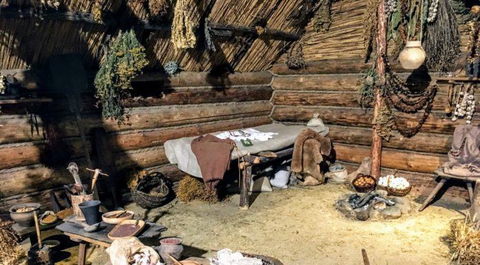 Jadłospis mieszkańców płd. Polski kilka tys. lat temu był głównie roślinny wyposażenie neolitycznej chaty