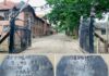 Policja zabezpieczyła nieśmiertelnik więźnia z Auschwitz obóz Auschwitz Birkenau nieśmiertelnik identyfikator