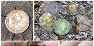 Lokalna grupa pasjonatów odkrywa pod Toruniem prawdziwe skarby (GALERIA)