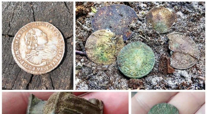 Lokalna grupa pasjonatów odkrywa pod Toruniem prawdziwe skarby (GALERIA)