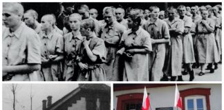 78 lat temu utworzono Karną Kompanię Kobiet KL Auschwitz – Bor/Budy 78 rocznica utworzenia karnej kompanii kobiet KL Auschwitz Bor Budy