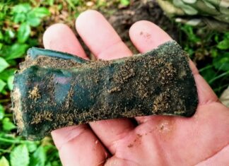 Znalazł dwa topory i siekierkę wykrywaczem – wzbogacą muzealne zasoby (GALERIA) tulejowa siekierka epoka brązu