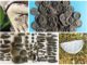 Archeolodzy z poszukiwaczami odkryli skarb średniowiecznych srebrnych monet
