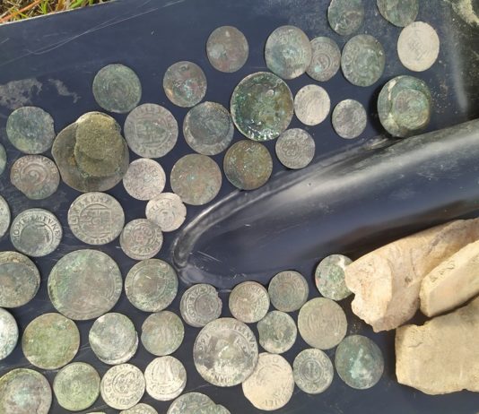 Skarb zawierający 680 monet uratowali poszukiwacze z wykrywaczami (GALERIA + FILM)