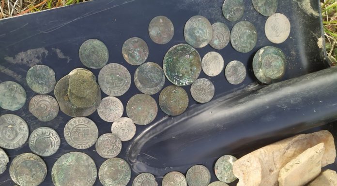 Skarb zawierający 680 monet uratowali poszukiwacze z wykrywaczami (GALERIA + FILM)