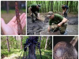 Misja archeologiczna w Chodliku. Krótki wywiad o roli poszukiwaczy w badaniach i galeria