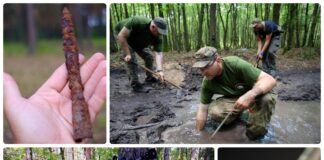Misja archeologiczna w Chodliku. Krótki wywiad o roli poszukiwaczy w badaniach i galeria
