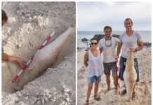 Turyści znaleźli na plaży amforę sprzed 2000 lat (GALERIA)