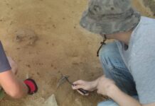 Badania archeologiczne w tym sezonie będą niestety ograniczone! badania archeologiczne wykopaliska