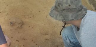 Badania archeologiczne w tym sezonie będą niestety ograniczone! badania archeologiczne wykopaliska