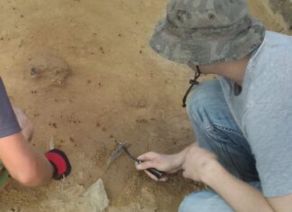 Badania archeologiczne w tym sezonie będą niestety ograniczone! badania archeologiczne wykopaliska