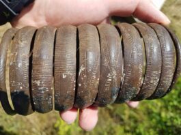 Znalazł w rzece bransoletę sprzed 2,5 tys. lat – archeolodzy poszli jej śladem… bransoleta z epoki brązu z Pilicy