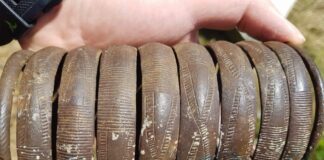 Znalazł w rzece bransoletę sprzed 2,5 tys. lat – archeolodzy poszli jej śladem… bransoleta z epoki brązu z Pilicy