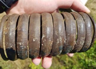 Znalazł w rzece bransoletę sprzed 2,5 tys. lat – archeolodzy poszli jej śladem… bransoleta z epoki brązu z Pilicy