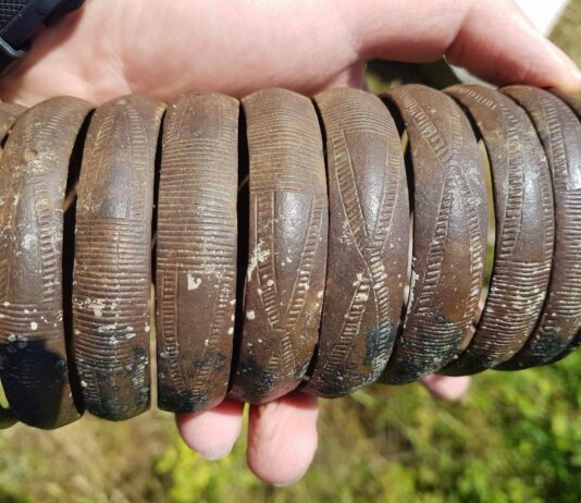 Znalazł w rzece bransoletę sprzed 2,5 tys. lat – archeolodzy poszli jej śladem… bransoleta z epoki brązu z Pilicy