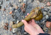 Jadeitowy „chiński smok” znad Tamizy