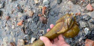 Jadeitowy „chiński smok” znad Tamizy