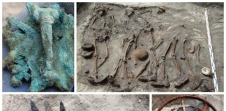 Mogiła 18 żołnierzy Luftwaffe odkryta w Koźlicach (GALERIA)