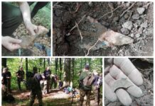 Archeolodzy i poszukiwacze przebadali grodzisko, odkryli ślady walki z XIV w.