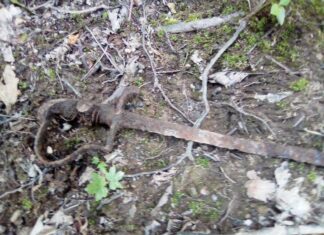 Dolnośląskie. Wybrał się z rodziną na spacer i znalazł szablę z XIX wieku pruska szabla Świebodzice