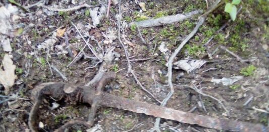 Dolnośląskie. Wybrał się z rodziną na spacer i znalazł szablę z XIX wieku pruska szabla Świebodzice