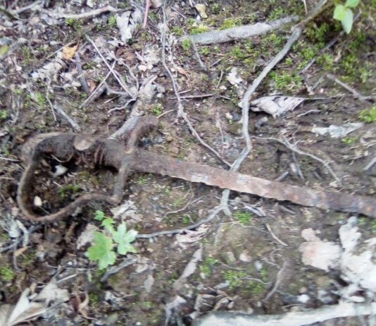 Dolnośląskie. Wybrał się z rodziną na spacer i znalazł szablę z XIX wieku pruska szabla Świebodzice