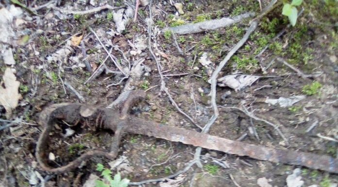 Dolnośląskie. Wybrał się z rodziną na spacer i znalazł szablę z XIX wieku pruska szabla Świebodzice