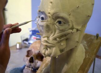 Zrekonstruowano twarz mężczyzny żyjącego 500 lat temu w Dzwonowie (FILM) Zrekonstruowano twarz mieszkańca Dzwonowa sprzed 500 lat