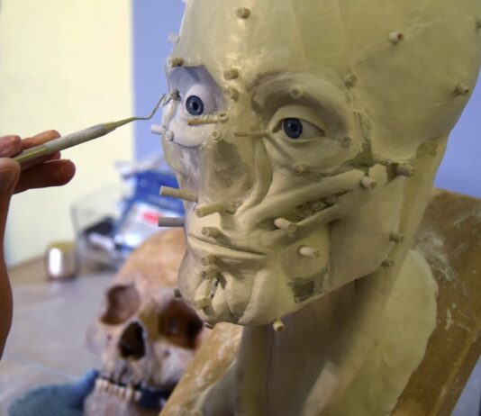 Zrekonstruowano twarz mężczyzny żyjącego 500 lat temu w Dzwonowie (FILM) Zrekonstruowano twarz mieszkańca Dzwonowa sprzed 500 lat