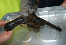 Wyłowił magnesem z jeziora rewolwer i przekazał do muzeum
