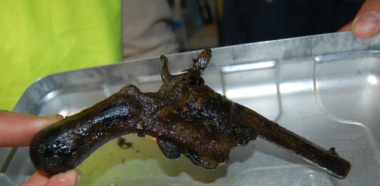 Wyłowił magnesem z jeziora rewolwer i przekazał do muzeum