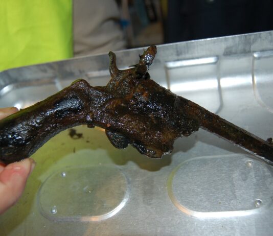 Wyłowił magnesem z jeziora rewolwer i przekazał do muzeum