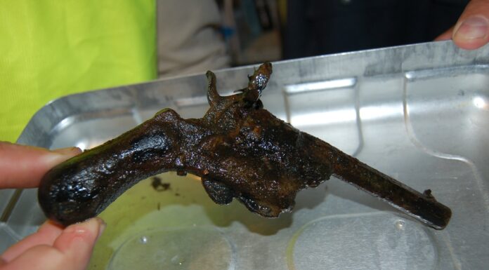 Wyłowił magnesem z jeziora rewolwer i przekazał do muzeum