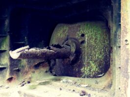 Zapomniana fortyfikacja na rubieżach kraju – element Linii Mołotowa (GALERIA)