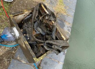 Wyłowił magnesem sejf z skradzioną zawartością i odnalazł jego właścicielkę