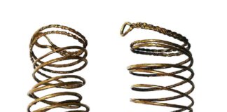 Lubuskie. Złota bransoleta i zapinka – niezwykły skarb odkryty nielegalnie w lesie! złote bransolety epoka brązu Lubuskiem