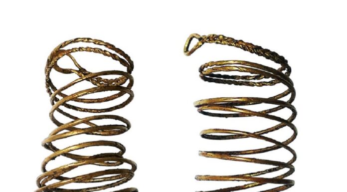 Lubuskie. Złota bransoleta i zapinka – niezwykły skarb odkryty nielegalnie w lesie! złote bransolety epoka brązu Lubuskiem