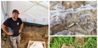 Polak odkrywa w Szkocji niesamowity skarb sprzed 3 tys. lat! (GALERIA)