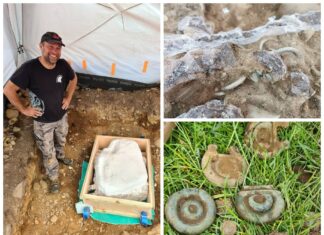 Polak odkrywa w Szkocji niesamowity skarb sprzed 3 tys. lat! (GALERIA)