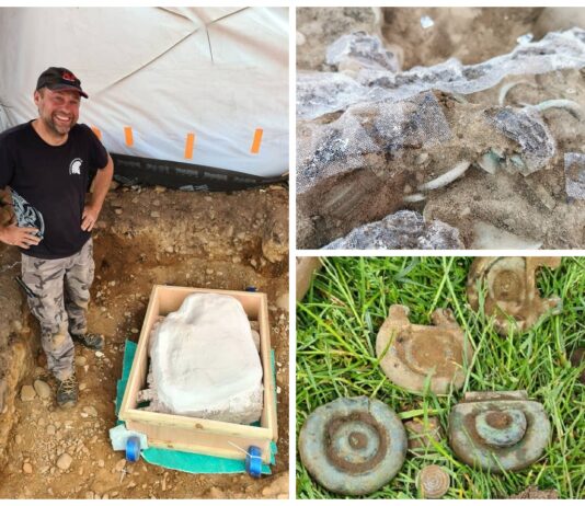 Polak odkrywa w Szkocji niesamowity skarb sprzed 3 tys. lat! (GALERIA)