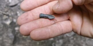 Tropem Scytów na Jurze, czyli jak można popełnić przestępstwo odkrywając i ratując zabytek Scytyjski grot strzały odkryty na Jurze