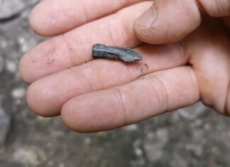 Tropem Scytów na Jurze, czyli jak można popełnić przestępstwo odkrywając i ratując zabytek Scytyjski grot strzały odkryty na Jurze