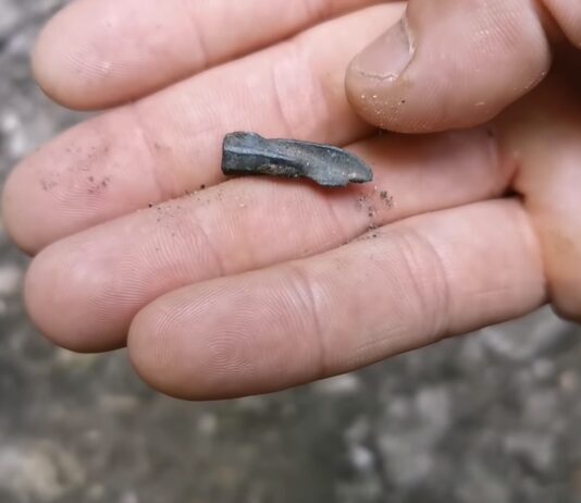 Tropem Scytów na Jurze, czyli jak można popełnić przestępstwo odkrywając i ratując zabytek Scytyjski grot strzały odkryty na Jurze