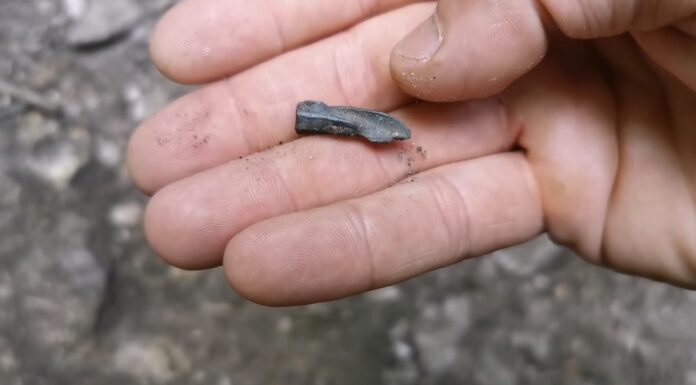 Tropem Scytów na Jurze, czyli jak można popełnić przestępstwo odkrywając i ratując zabytek Scytyjski grot strzały odkryty na Jurze