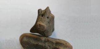 Gliniane figurki świnek sprzed 3,5 tys. lat odkryte w ufortyfikowanej osadzie w Małopolsce