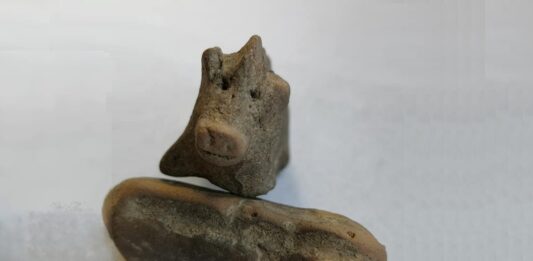 Gliniane figurki świnek sprzed 3,5 tys. lat odkryte w ufortyfikowanej osadzie w Małopolsce
